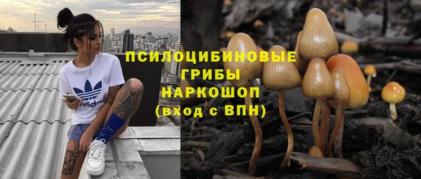амф Покачи