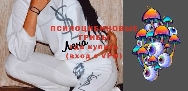 индика Алексеевка
