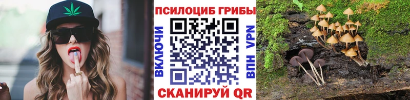 ОМГ ОМГ как войти  Калтан  Галлюциногенные грибы прущие грибы 